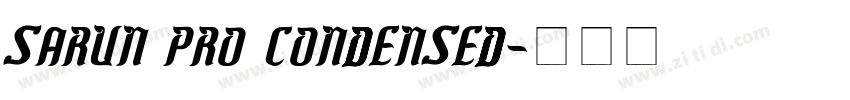 Sarun Pro Condensed字体转换
